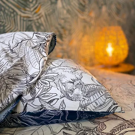 - Proche Croisette Avec Jardin *