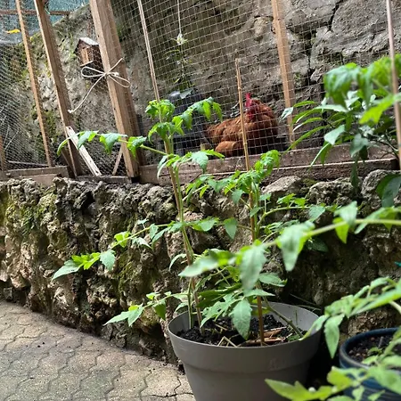 - Proche Croisette Avec Jardin Apartment *