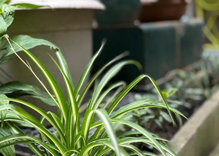 아파트 - Proche Croisette Avec Jardin 칸느