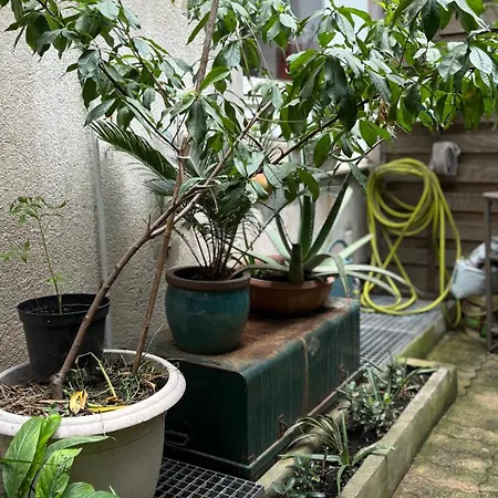 Apartment - Centre-ville Avec Jardin *